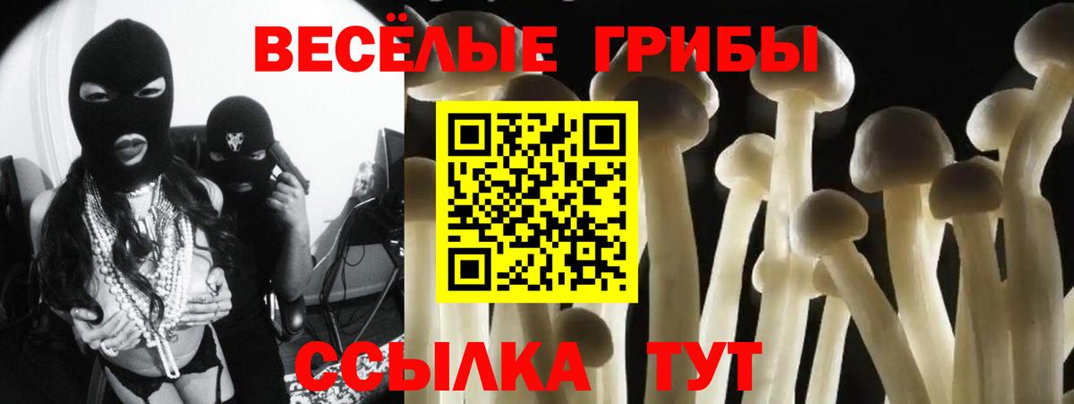 дарнет шоп  Вход с VPN  Псилоцибиновые грибы GOLDEN TEACHER  Бердск  Псилоцибиновые грибы Cubensis 